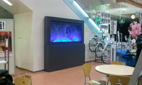2011-01-14 22.26.12.jpg
